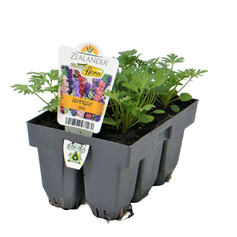 Growflora Larkspur Imperial Mix, , hi-res