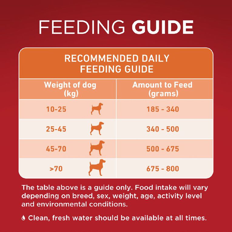 PURINA ONE Adult Chicken & Rice Dry Dog Food 2.5kg, , hi-res