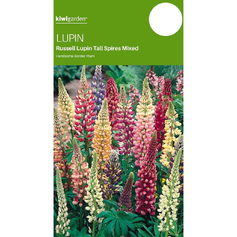 Kiwi Garden Lupin Russel Mix Seeds, , hi-res