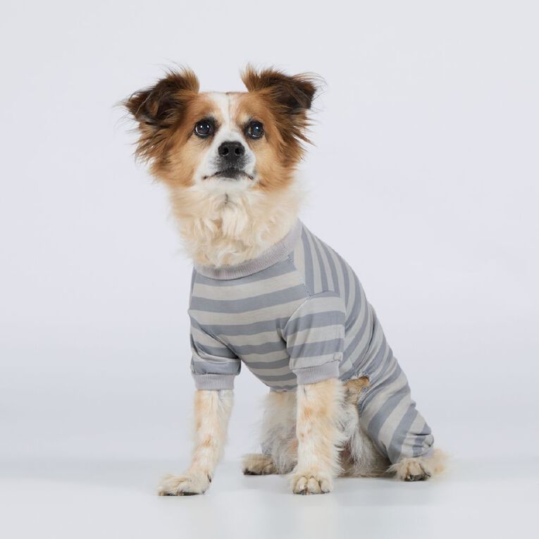 Petzone Pet Pyjamas Stripe# Grey Medium