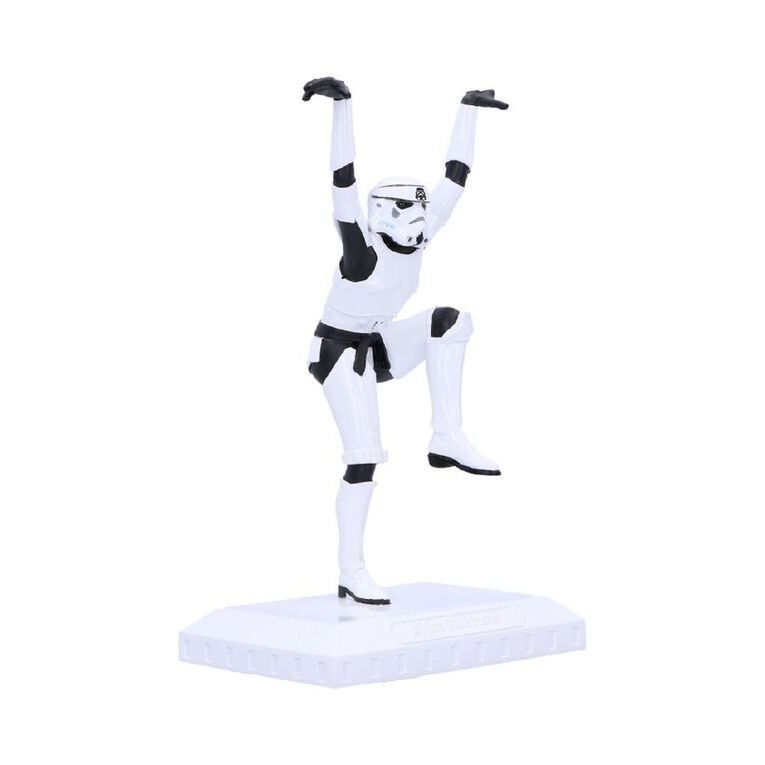 Nemesis Now Stormtrooper Crane Kick, , hi-res