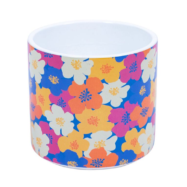 Kiwi Garden Indoor Pot 16cm x 16cm x 15.5cm Assorted, , hi-res
