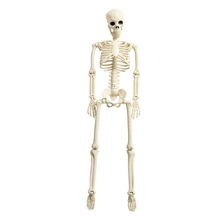 Skeleton 90cm, , hi-res