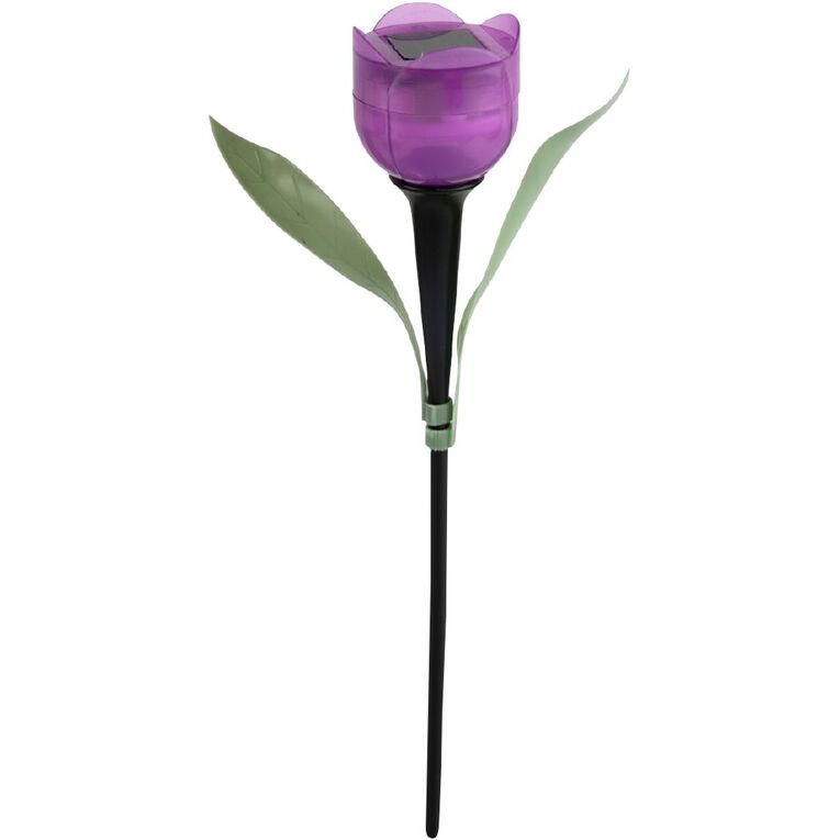 Kiwi Garden Tulip Light, , hi-res