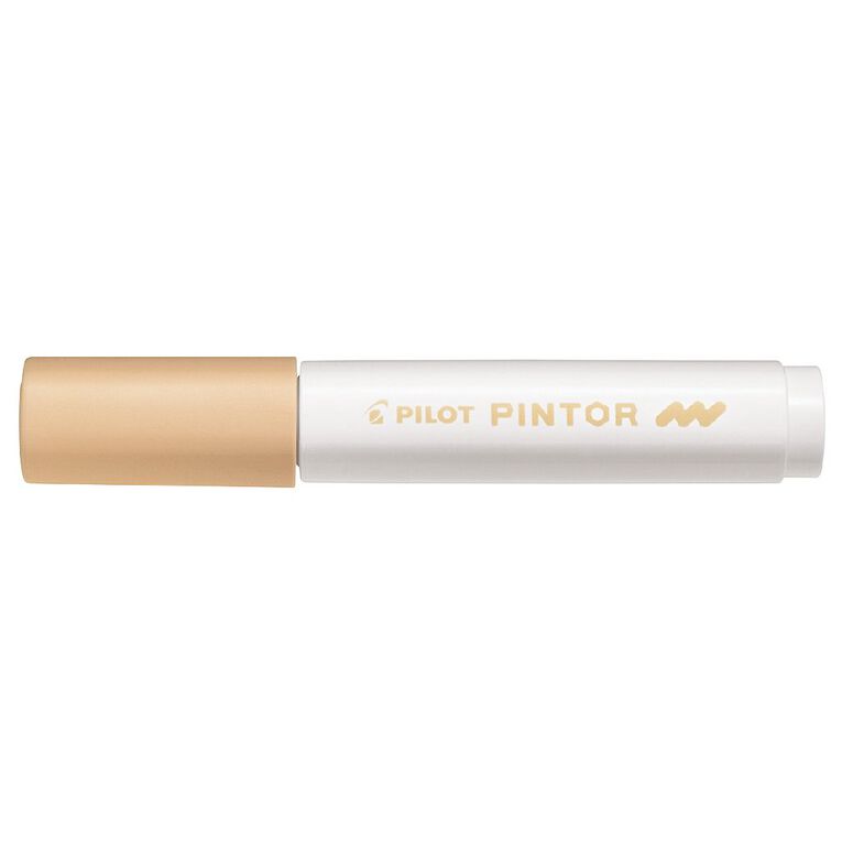 Pilot Pintor Marker Bullet Pale Medium 4.5mm Tip Orange, , hi-res