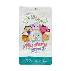 Squishmallows Mystery Squad Series 28 5 Inch Assorted