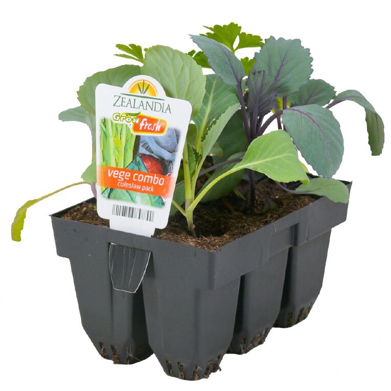 Growfresh Vege Combo Coleslaw, , hi-res