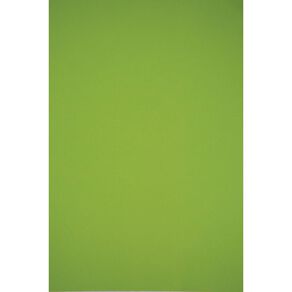Kaskad Board 225gsm Parakeet Green Mid A3