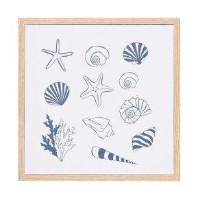 Living & Co Shells Framed Canvas 25 x 25cm