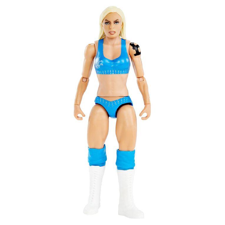 WWE Basic Figures Assorted, , hi-res