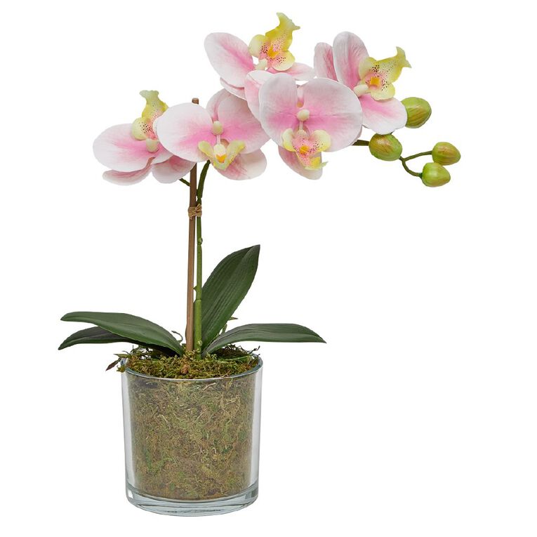 Botanica Artificial 30cm Orchid in Pot, , hi-res