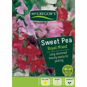 McGregor's Royal Sweet Pea Mixed Flower Seeds