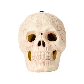 Seasons Light Up Skull Mister