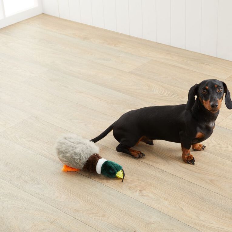 Petzone Dog Toy Plush Duck Large MultiColoured The Warehouse