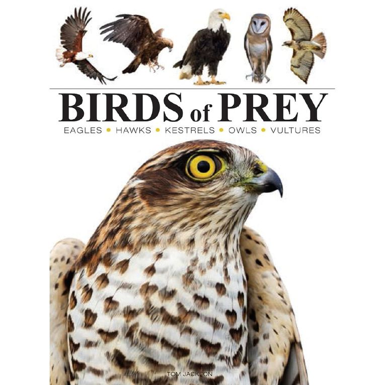 Pocket Edition: Birds Of Prey by Tom Jackson, , hi-res
