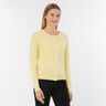 Yellow Light
