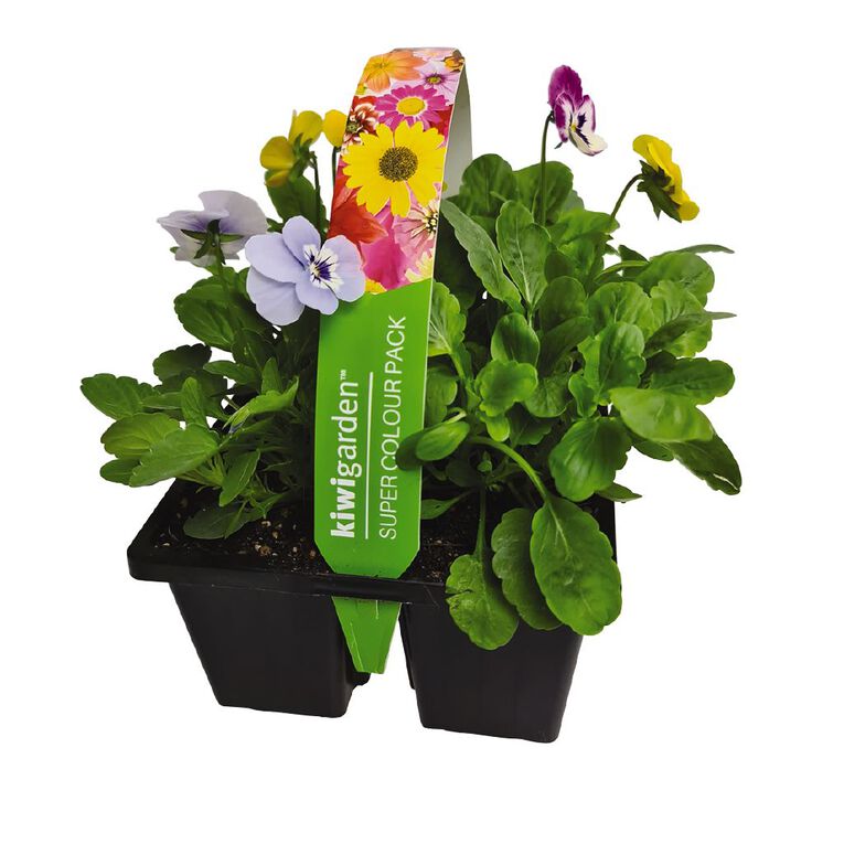 Super Colour 4 Pack, , hi-res