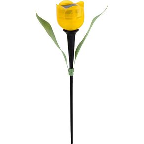 Kiwi Garden Tulip Light