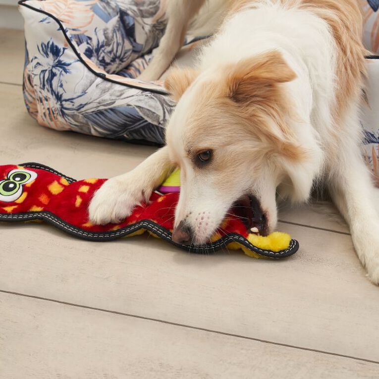 Outward Hound Tough Seamz Snake Dog Toy MultiColoured The Warehouse