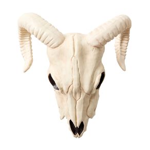 Seasons Ram Skull Decoration