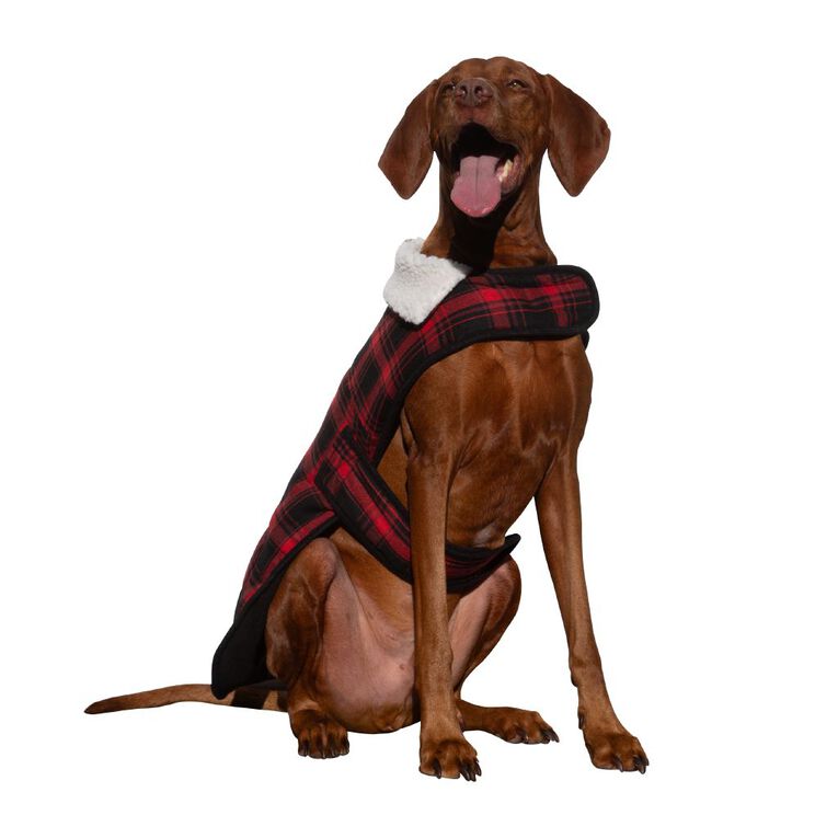 Petzone Check Jacket Red XL, , hi-res