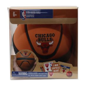 NBA Mini Basketball
