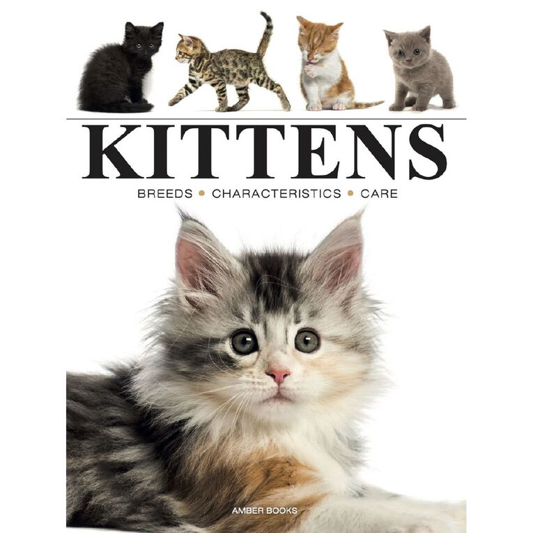 Mini Edition Kittens, , hi-res