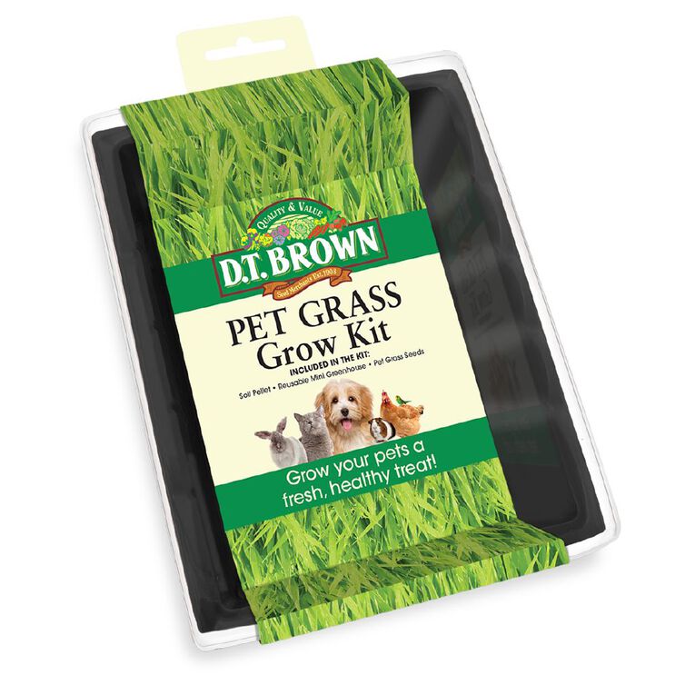 DT Brown DT Brown Pet Grass Seed Raiser, , hi-res