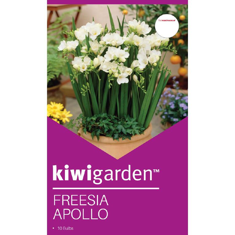 Kiwi Garden Freesia Apollo 10PK, , hi-res