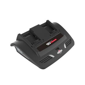 Briggs & Stratton 18V GEN-II Twin Battery Charger