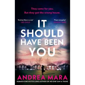 It Should Have Been You by Andrea Mara