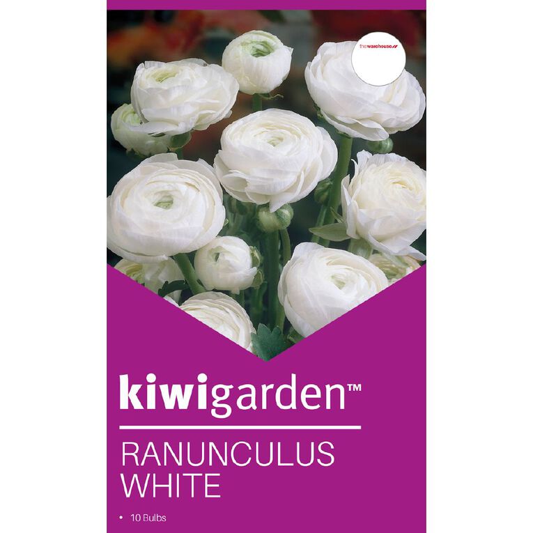 Kiwi Garden Ranunculus White 10 bulbs, , hi-res