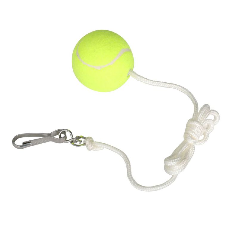 Active Intent Play Replacement Swing Ball, , hi-res