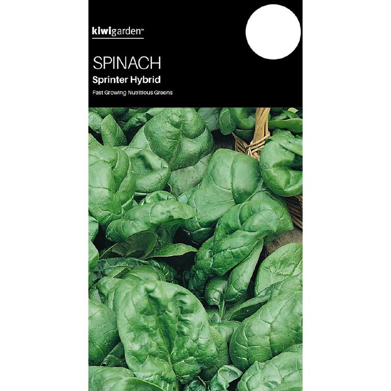Kiwi Garden Spinach Sprinter Hybrid Seeds, , hi-res