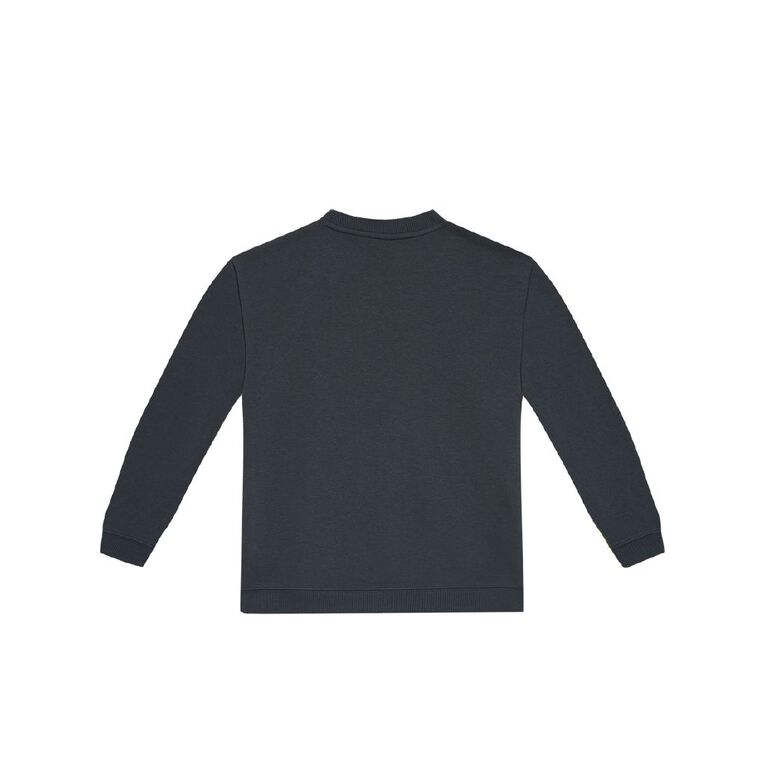 Young Original Plain Crew Sweatshirt, Grey Dark, hi-res