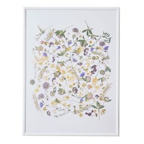 Living & Co Framed Print Pressed Flowers 30cm x 40cm