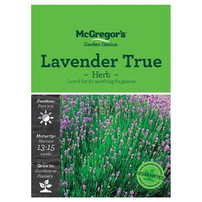 McGregor's Lavender True Herb Seeds