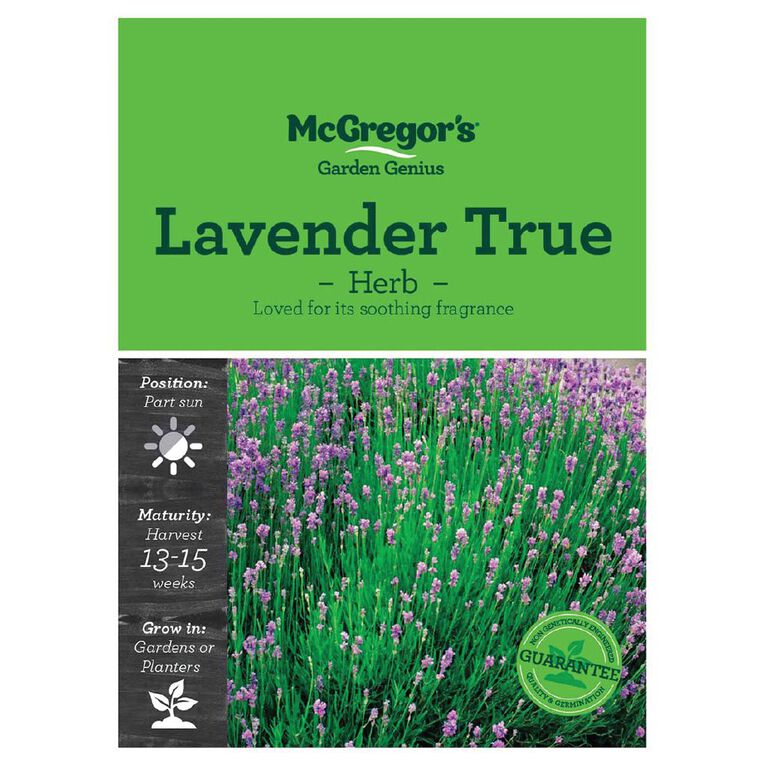 McGregor's Lavender True Herb Seeds, , hi-res