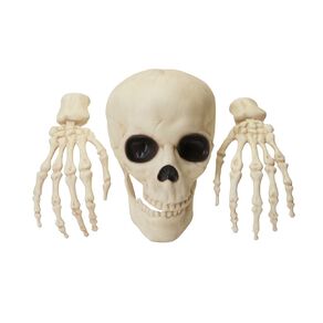 Seasons Glow In The Dark Wall Skeleton Decoration