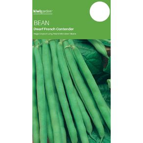 Kiwi Garden Bean Contender Dwarf French Seeds