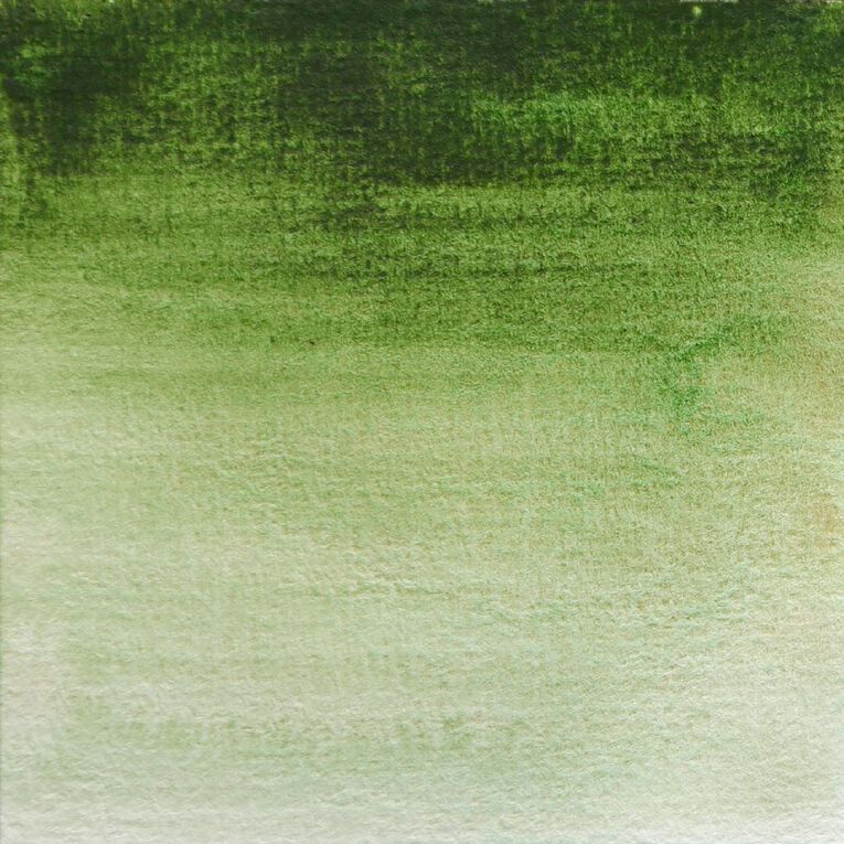 BLOCKX Watercolour Half Pan S1 164 Hookers Green Green, , hi-res