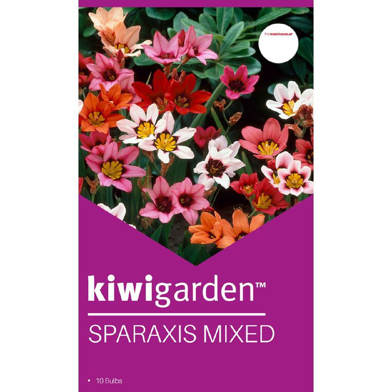 Kiwi Garden Spraxia mixed 10PK, , hi-res