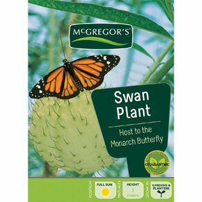 McGregor's Swan Plant Flower Seeds
