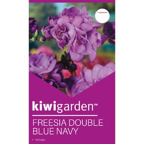 Kiwi Garden Freesia Double Blue Navy 10PK