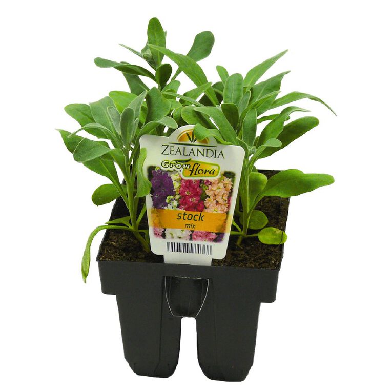 Growflora Stock Mix, , hi-res