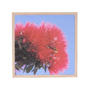 Living & Co Pohutakawa Framed Canvas 25cm x 25cm