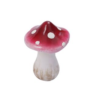 Kiwi Garden Mushrooms