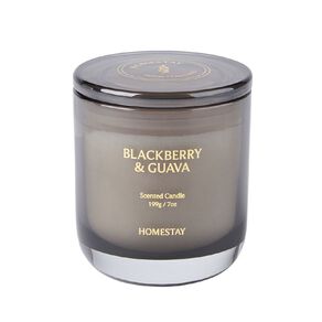 Living & Co Homestay Blackberry and Guava Candle 7oz