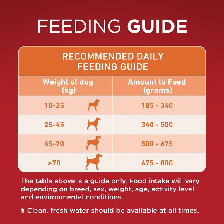 PURINA ONE Adult Chicken & Rice Dry Dog Food 6kg, , hi-res