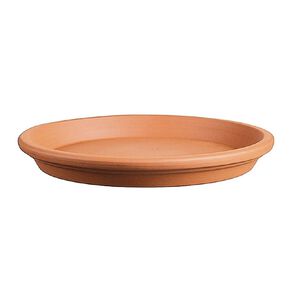 Northcot Terracotta 15cm Saucer